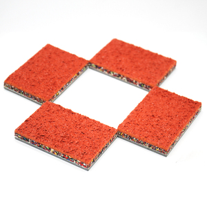 Asher PROTRACK 400 Elite: WA-phê duyệt 400m tiêu chuẩn-trực tiếp từ nhà máy với cài đặt chính xác cho các vận động viên hàng đầu - Product Image 4