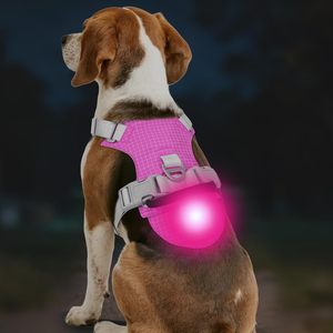 Kunden spezifisches leichtes leichtes Hunde geschirr Wiederauf lad bares No-Pull-LED-Hunde geschirr mit abnehmbarer Licht box, Airtag-Halter - Product Image 1