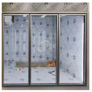 便利店步入式冷却器/冰柜玻璃展示门