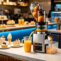 Industriële spiraalpers met hoge capaciteit, koudgeperste slowjuicer voor drankenwinkels OEM