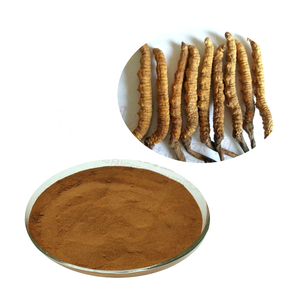 Extrato de micelogênio <span class=keywords><strong>cordyceps</strong></span> <span class=keywords><strong>sinensis</strong></span>, alta qualidade, 50%, polisaccarida, gmp/haccp/qs/900ation - Product Image 1
