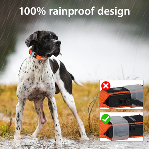 Visible at Night LED Nylon <b>Dog</b> <b>Collar</b>,USB Rechargeable Loop,Available in 7 Colors - Product Image 4