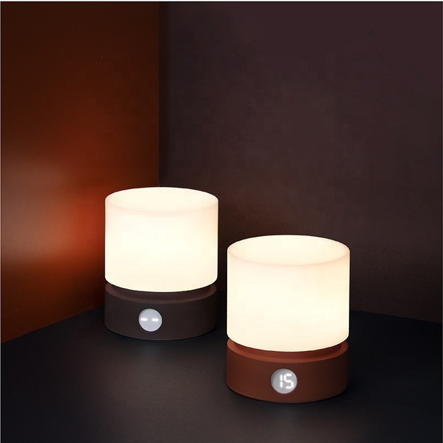 2023 Ins Style Plastic USB Cylinder Creative Led Night Light Ambience Night Lamp for Bedroom