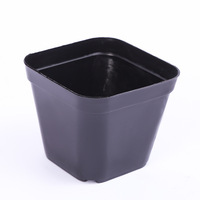 Petit pot à fleurs en plastique de 5,5 cm d'épaisseur pour plantes succulentes, cactus, design traditionnel, pot carré durable pour la maison, utilisation en centre commercial