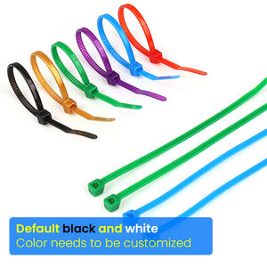 روابط كبل نايلون من الشركة المصنعة قابلة للتخصيص قوية ذاتية القفل ربطة عنق بلاستيكية PA66 ربطة عنق بسحاب كابل أسود Te يلف مقاومة للأشعة تحت البنفسجية - Product Image 3