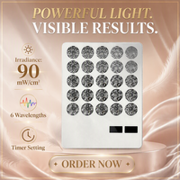 Mini panneau lumineux rouge portatif avec lumières LED pour le raffermissement de la peau et compatibilité multi-prises