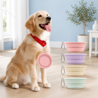 Bol pliable anti-déversement en silicone écologique pour animaux de compagnie, léger, portable, étanche, pour chiens et chats, utilisation en extérieur et en voyage