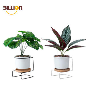 Nord simple <span class=keywords><strong>S</strong></span> modèle géométrique moderne charnue pot en céramique rond serti rond bambou support - Product Image 1