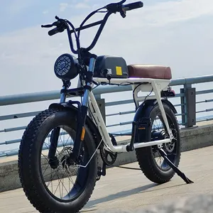 الصين الجملة 2022 جديد اللغط A20XE دراجة كهربائية 250W الكهربائية دراجة 20 ''الدهون الإطارات للطي Ebike دراجة هوائية جبلية A20 XE