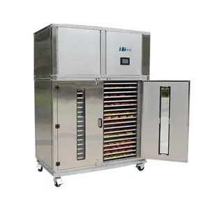 Endüstriyel 500Kg Yam ısı pompası gıda kurutucu havuç kayısı tatlı patates avokado hamuru kurutma makinesi