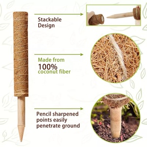 Bâtons de soutien pour plantes en fibre de coco naturelle, écologiques, pour intérieur/extérieur, <span class=keywords><strong>pot</strong></span> de fleurs, poteaux d'escalade, accessoires de jardin - Product Image 4