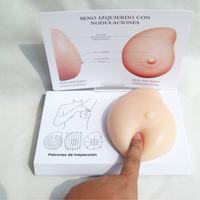 Modèle de sein en silicone pathologique pour la science médicale, produit de qualité alimentaire, modèle d'examen mammaire en silicone 3D pour la pratique, CE/ISO