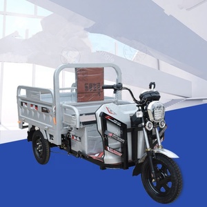 Multifunctional 800W Tricycles With Roof 3 Wheels Dirt <b>Bike</b> Adult Motorcycles Tricycles 800w - Product Image 3