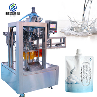 Machine de remplissage et de capsulage automatique PLC à 2 buses pour savon liquide, huile, sachets préformés, pochettes souples à bec verseur et sachets stand-up