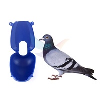 Dispositif de fixation pour mangeoire à pigeons, outil d'alimentation pour l'entraînement des pigeons