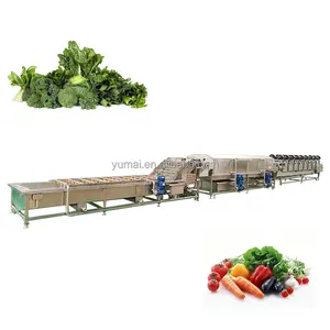 Full Automatic Vegetable Dragon Fruit Mango Sorting Cutting Air Bubble Washing Drying Processing Machine for Sale
