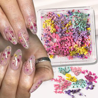 Fleurs séchées naturelles multicolores pour la décoration des ongles, DIY, manucure, mini boîte carrée, fleurs réelles, accessoires pour ongles