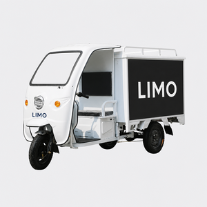 Triciclo Eléctrico de Reparto con Toldo, Triciclo Eléctrico Cerrado para Transporte de Carga, Vehículo Eléctrico de Logística de 3 Ruedas - Product Image 4