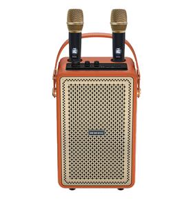 M4203 + רמקול חיצוני Dj חיצוני מיוחד קריוקי עם מיקרופון אלחוטי קורטה הגברה altavalz y bocina bt רמקול - Product Image 1