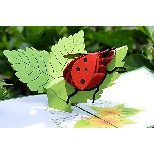 Carte Pop-Up Coccinelle
