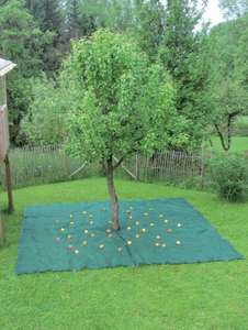 Nhiệm vụ nặng nề Windproof xách tay HDPE & PE nhựa ô liu thu hoạch lưới gấp thiết kế Made trung qua-rete antispina nông nghiệp <span class=keywords><strong>Net</strong></span> - Product Image 5