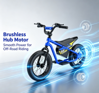 Moto électrique tout-terrain pour enfants 250W, moteur sans balais, 3 vitesses, amortisseur avant, pneus gonflables 16 pouces, plastique, 2-3 ans, unisexe, cadeau d'extérieur pour enfants
