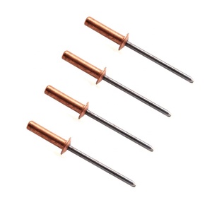 Đồng Thau Đóng <span class=keywords><strong>End</strong></span> Sealed Loại Đinh Tán Mù - Product Image 2