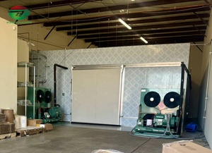 Industrial Mini Solar Easy to Operated <strong>Blast</strong> <strong>Fridge</strong> and Deep Monoblock Freezer Complete Cold Room Storage - Product Image 4