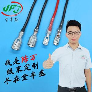 Jfs Quick Disconnect Terminal Wire 1P Pure Copper <b>Battery</b> Power Module <b>Cable</b> Electronic Application - Product Image 1