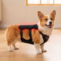 Attelle de thérapie par lumière rouge infrarouge réglable pour animaux de compagnie, 660nm 850nm, coussin lumineux LED rouge pour la récupération animale