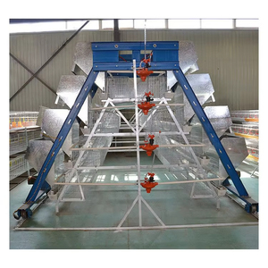 Nuevo Sistema de Crí<span class=keywords><strong>a</strong></span> de Aves de Corral Semiautomático Tipo <span class=keywords><strong>A</strong></span>, Galvanizado en Caliente, para Jaulas de Alta Producción <span class=keywords><strong>a</strong></span> un <span class=keywords><strong>Precio</strong></span> Económico - Product Image 2