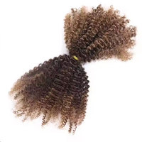 Cheveux Humains Volumineux Frisés Afro Crépus 4B 4C pour Tresses Sans Trame, Cheveux Remy Double Étirés en Vrac, Cheveux Afro Crépus pour Crochet, Tressage Bohème