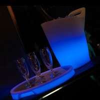Plateau lumineux LED pour serveur / Lumières de plateau pour bar à cocktails (cc529)