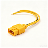 Câble adaptateur XT60 mâle-femelle, connecteur XT60H, 2 broches, 30A, 12V, IP40, contacts plaqués or, boîtier PA, extension d'alimentation