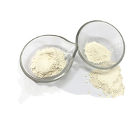Poudre d'oignon blanc racine déshydratée et cuite en vrac, mouture 100 mesh