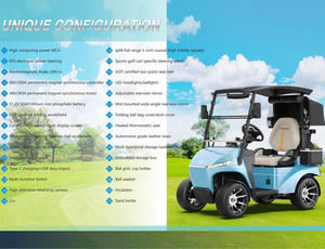 Carrito de Golf Comunitario Multi-interfaz de Alta Calidad, Profesional, Monoplaza, con Sistema Multimedia y Cesta - Product Image 2