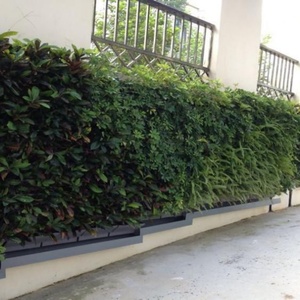 Sistema de Pared Verde, Bandeja de Plástico, Macetas Colgantes para Jardín Vertical, Macetas para Pared Verde, Venta al por Mayor - Product Image 5