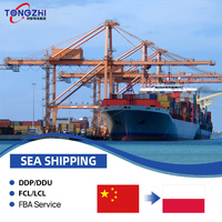 Günstiger Seefracht-Spediteur China-Polen Versandagent Internationale Logistik DDP Haustürlieferung LCL+Express 14-21 Tage