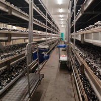 Étagères modulaires en alliage d'aluminium pour la culture de champignons, support de culture de champignons comestibles commercial