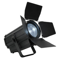 Warmweiß und Kaltweiß 250W LED Studio Fresnel Light für Theater TV Show