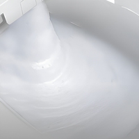 Toilette intelligente autonettoyante avec bidet électrique, cuvette carrée, drainage S-Trap/P-Trap, siège chauffant et télécommande