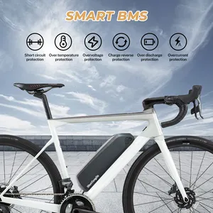 폴리 5 ebike 배터리 팩, 500W 750W 1000W Bafang 모터 키트용 36v 48v 52v li 이온 배터리 팩