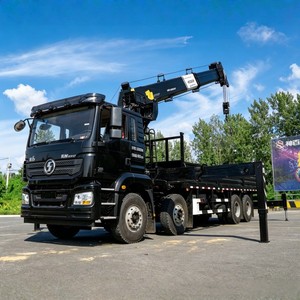 Camion-grue lourd Shacman 8x4 personnalisé, 25 tonnes, 40 tonnes, grue télescopique pour l'Afrique - Product Image 2