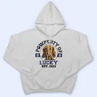 Sweat-shirt personnalisé avec photo d'animal de compagnie, pull à col rond pour amoureux des chiens et des chats, décontracté, unisexe, cadeau