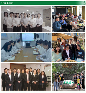 สารสกัดใบมะกอกคุณภาพสูง 20% โอเลอโรพีน ผงสารสกัดใบมะกอก แคปซูลสารสกัดใบมะกอก - Product Image 4