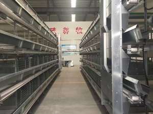 Katman \/tavuk \/yumurta tavuk için sıcak satış otomatik kanatlı çiftlik kafesi - Product Image 2