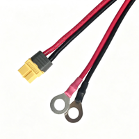 Câble d'alimentation avec connecteur XT60 et borne annulaire, faisceau d'extension de batterie en silicone pour drone, vélo électrique, pack d'énergie
