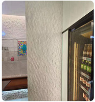 Panneaux en fibres de ciment modifiés flexibles, ignifuges, antistatiques, imperméables, insonorisants pour la maison, l'hôpital, l'hôtel, l'appartement, le commerce