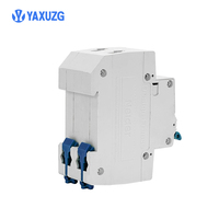 Interruptores de Circuito en Miniatura de Alto Voltaje de Impulso (4000 V) Más Vendidos, Material de Cobre, Duraderos, MCB