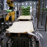 Machine automatique d'emballage de sacs à valve système de palettiseur robot machine à organiser les palettes